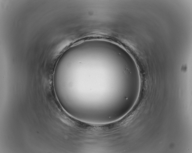 X0000092061355200709191132