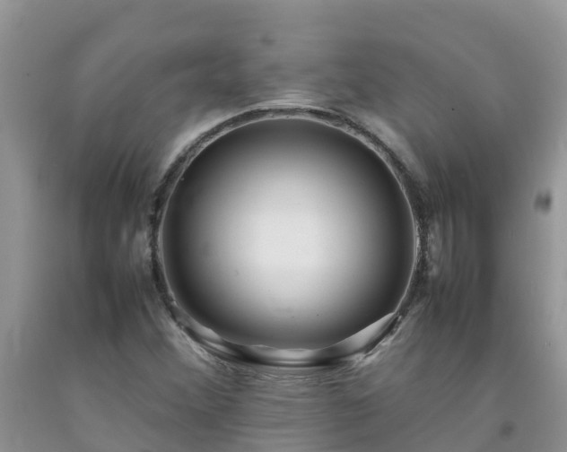 X0000092061356200709191132