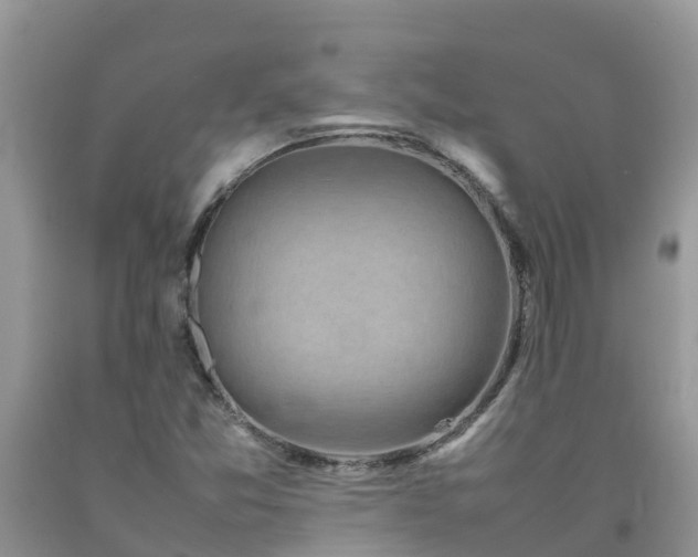 X0000092061357200709191132