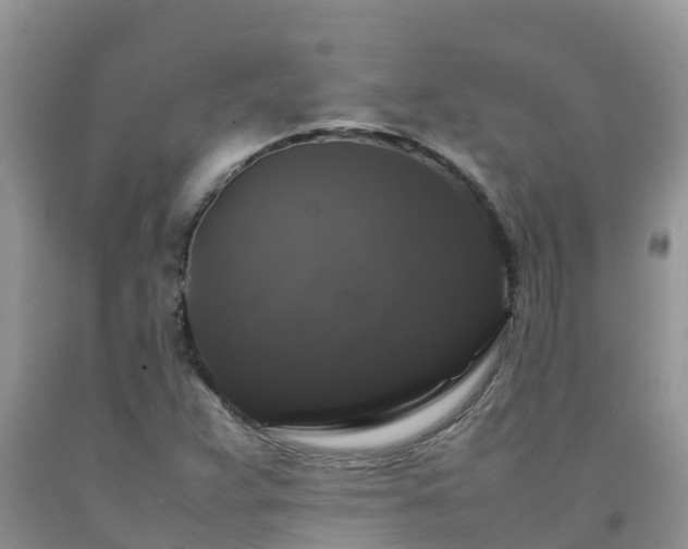 X0000092061359200709191132