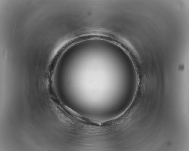 X0000092061360200709191132