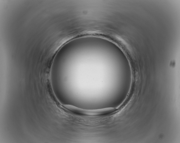 X0000092061361200709191132