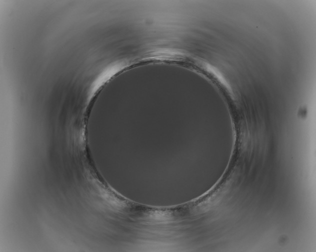 X0000092061362200709191132