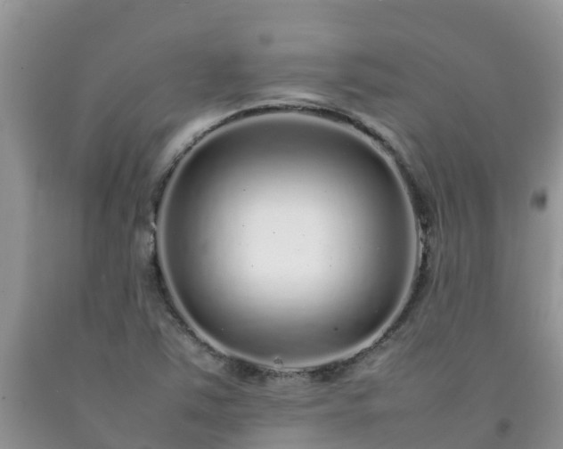 X0000092061363200709191132