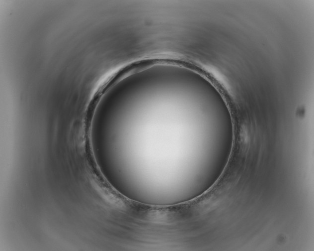 X0000092061364200709191132