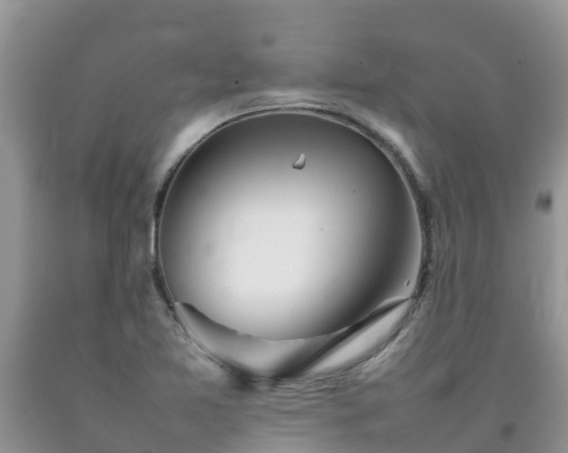 X0000092061365200709191132