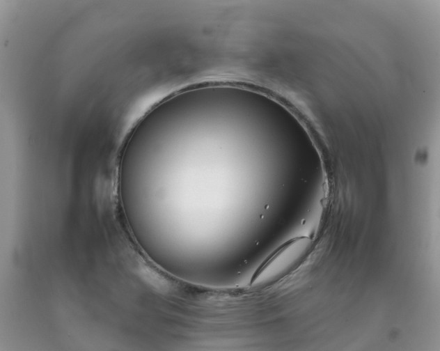 X0000092061366200709191132