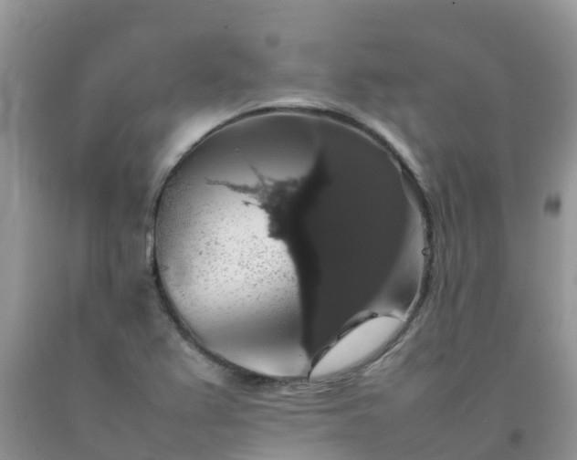 X0000092061367200709191132