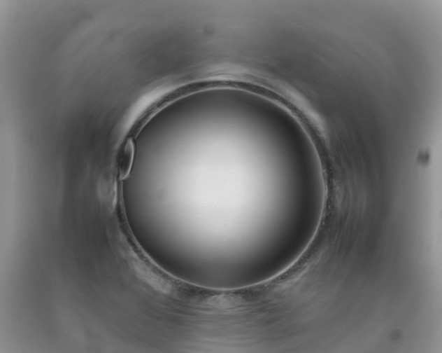 X0000092061368200709191132