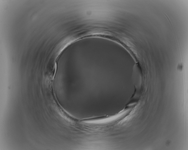 X0000092061369200709191132