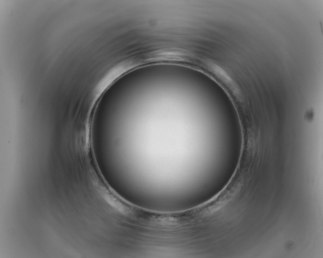 X0000092061370200709191132