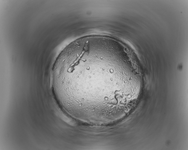 X0000092061371200709191132