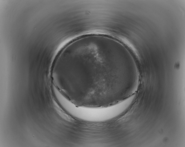 X0000092061372200709191132