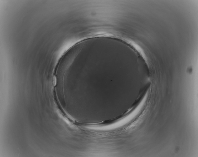 X0000092061373200709191132