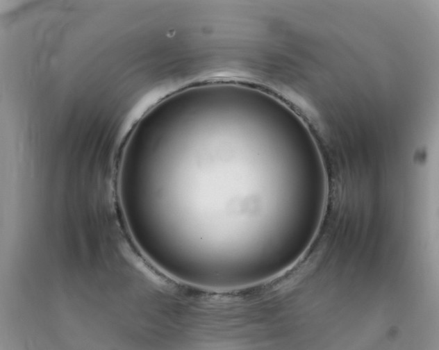 X0000092061374200709191132