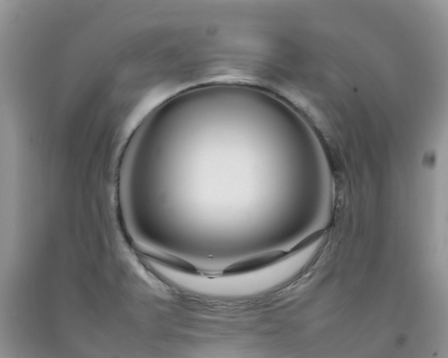 X0000092061375200709191132