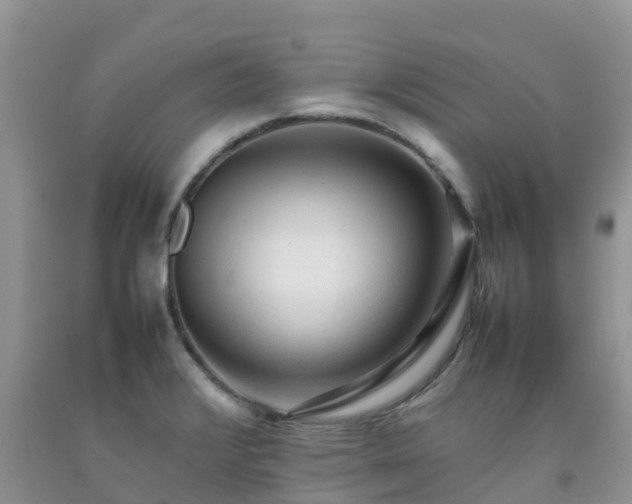 X0000092061376200709191132