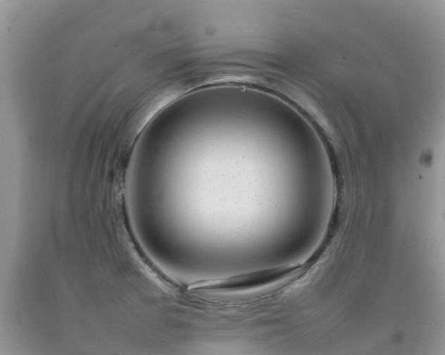 X0000092061377200709191132