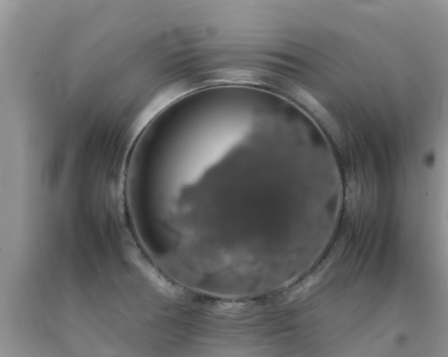 X0000092061378200709191132