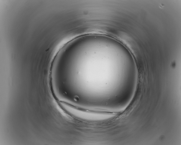 X0000092061379200709191132