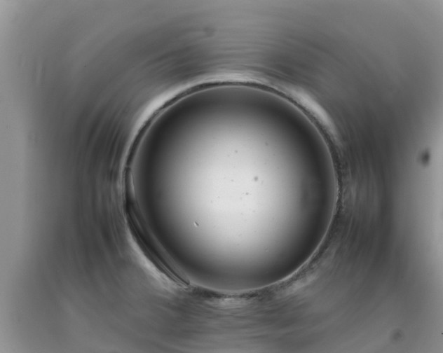 X0000092061380200709191132