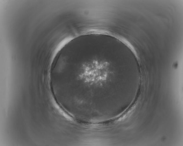 X0000092061381200709191132