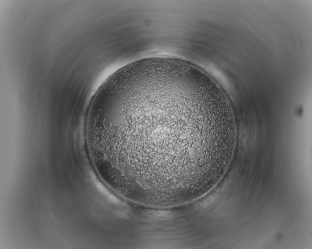 X0000092061382200709191132