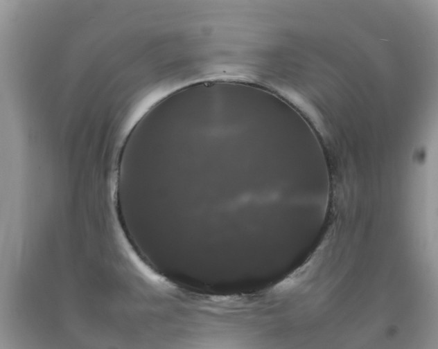 X0000092061383200709191132