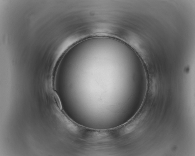 X0000092061384200709191132