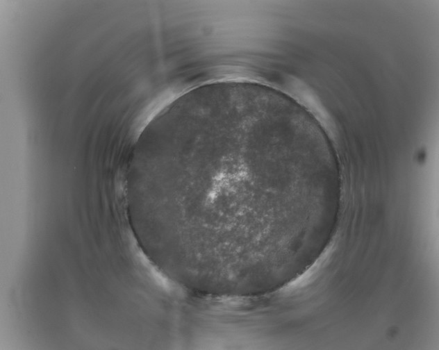 X0000092061385200709191132