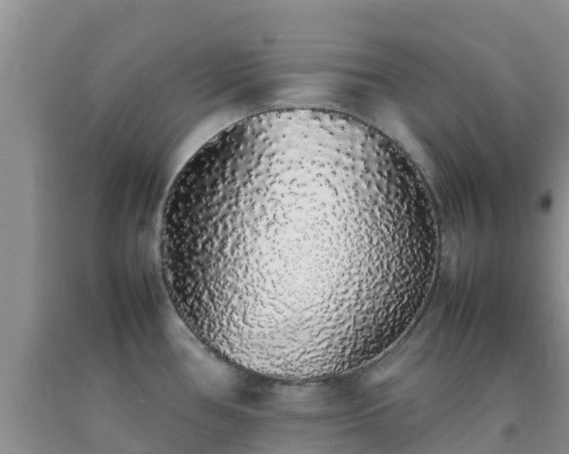 X0000092061386200709191132