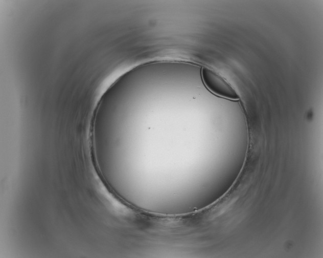 X0000092061387200709191132