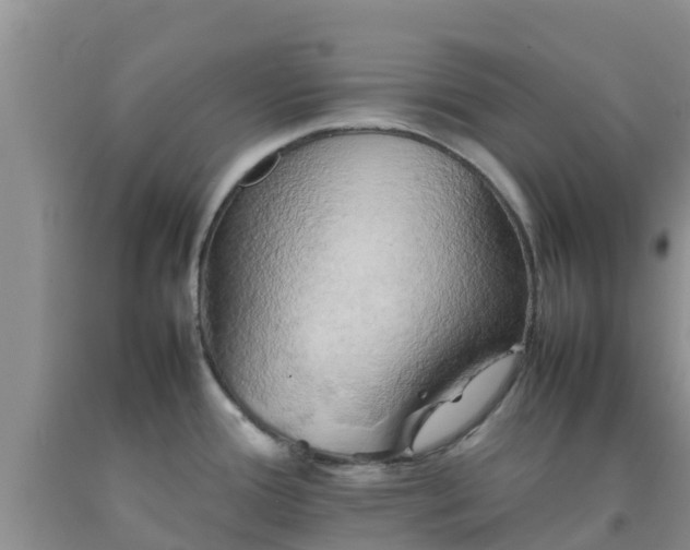 X0000092061388200709191132