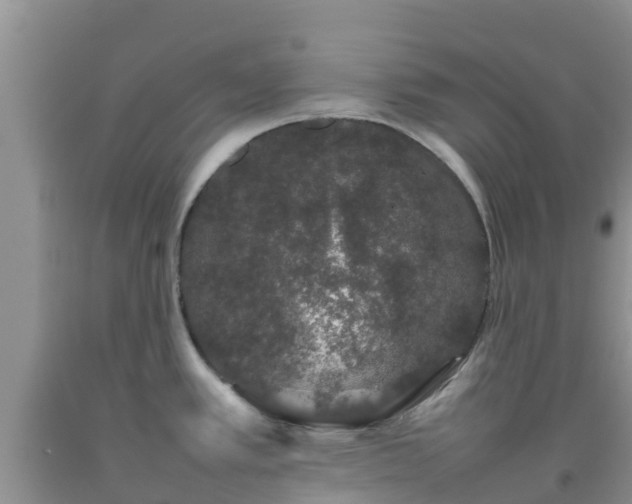 X0000092061389200709191132