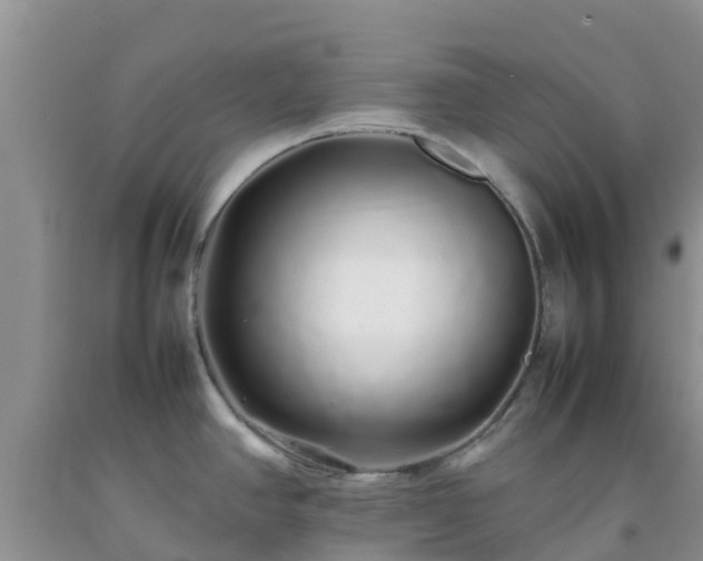 X0000092061390200709191132