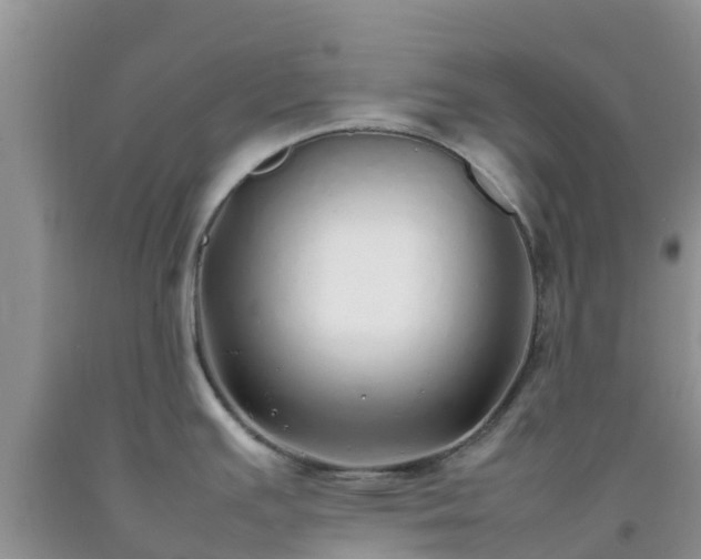 X0000092061391200709191132