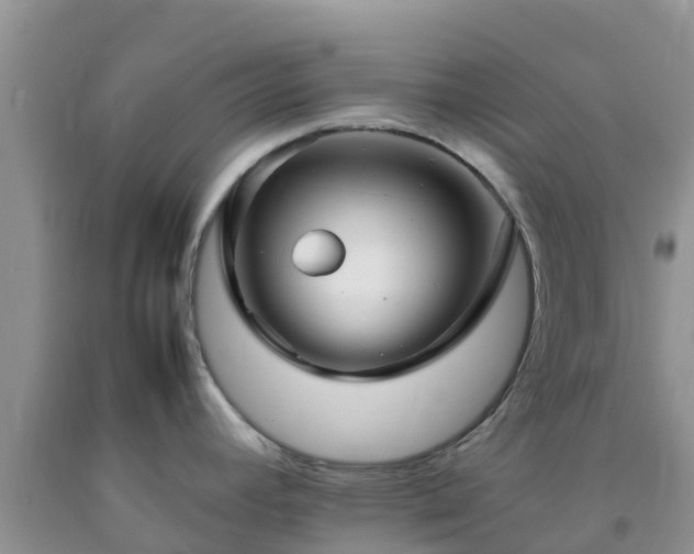 X0000092061392200709191132