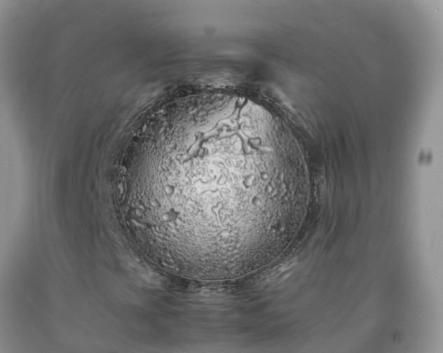 X0000092061393200709191131