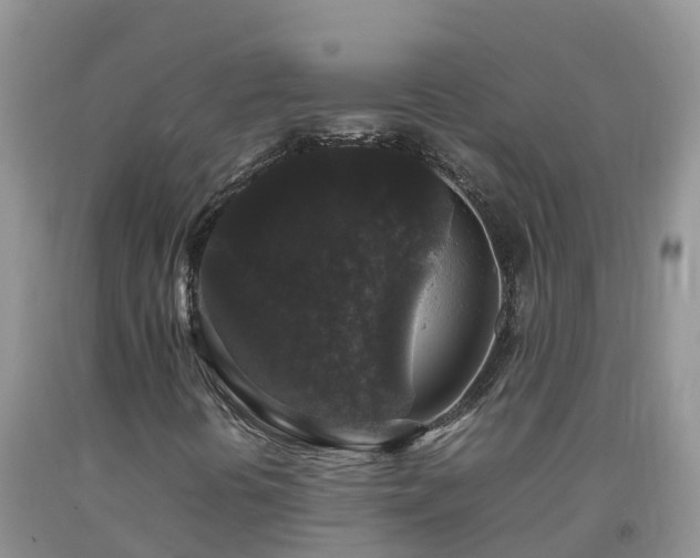 X0000092061394200709191131