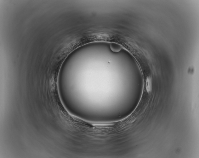 X0000092061395200709191131