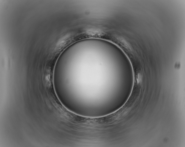 X0000092061396200709191131