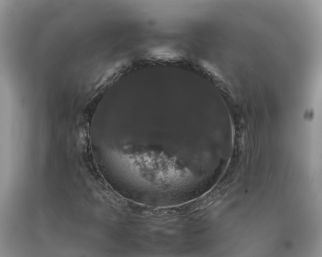 X0000092061397200709191131