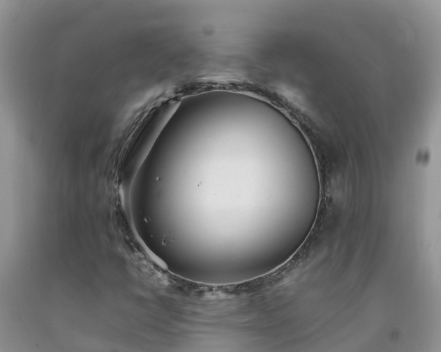 X0000092061398200709191131