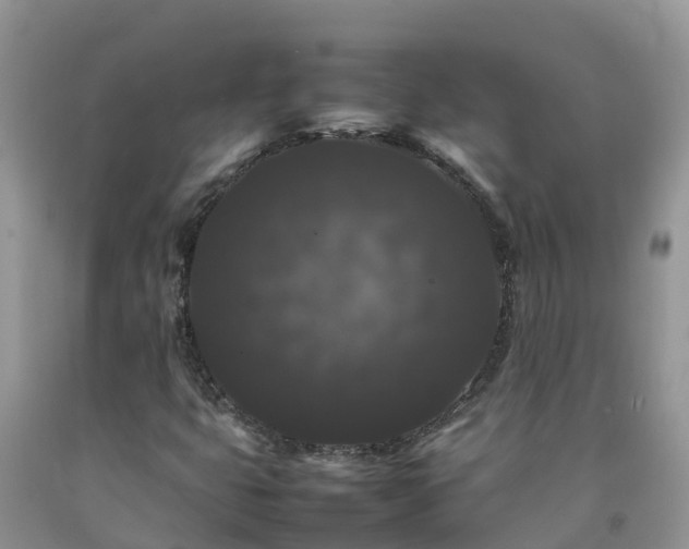 X0000092061399200709191132