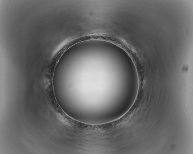 X0000092061400200709191132