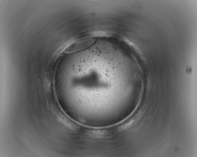 X0000092061401200709191132