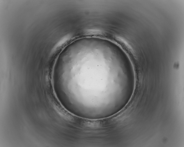 X0000092061403200709191132