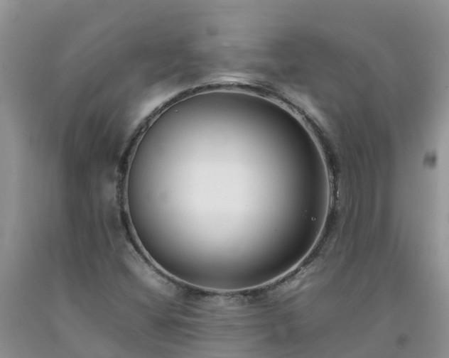 X0000092061404200709191132