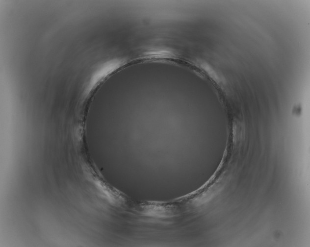 X0000092061405200709191132