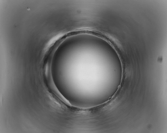 X0000092061406200709191132